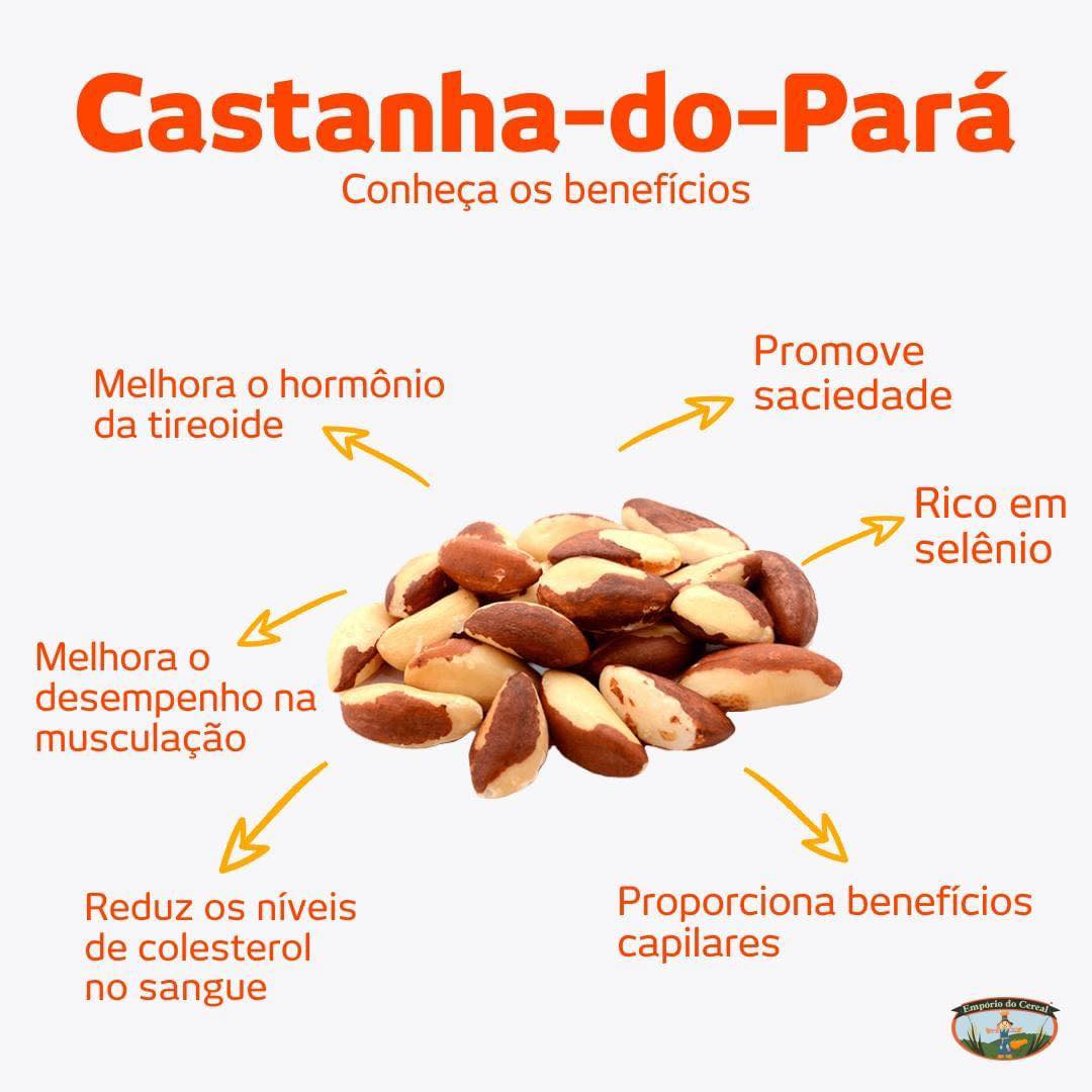Conheça com a Empório do Cereal os benefícios da Castanha-do-Pará ...